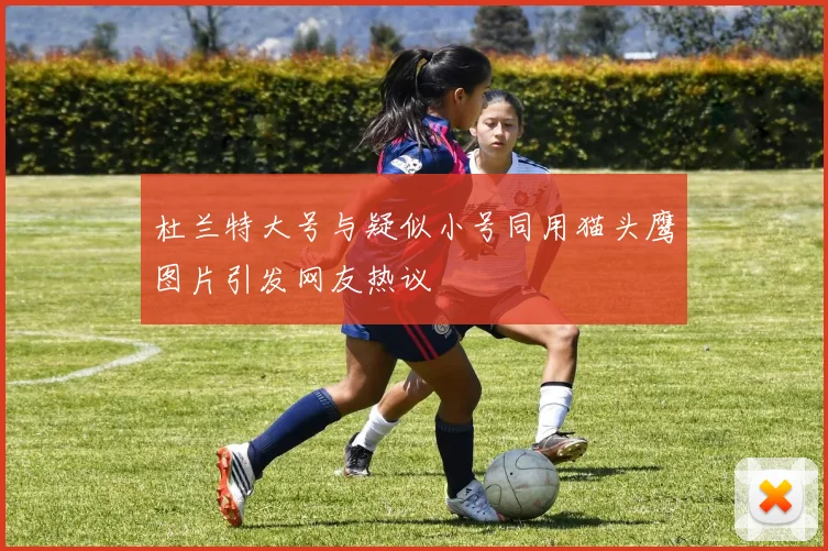 杜兰特大号与疑似小号同用猫头鹰图片引发网友热议