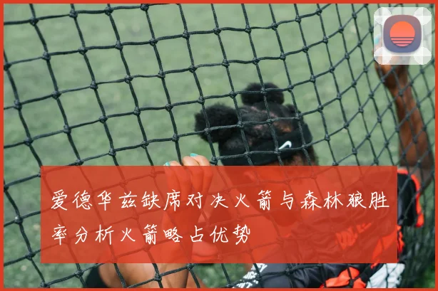 爱德华兹缺席对决火箭与森林狼胜率分析火箭略占优势