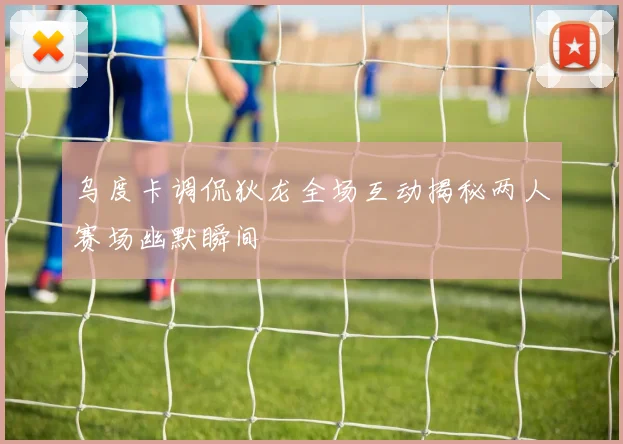 乌度卡调侃狄龙全场互动揭秘两人赛场幽默瞬间