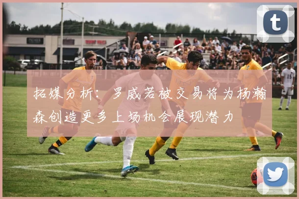 拓媒分析：罗威若被交易将为杨瀚森创造更多上场机会展现潜力